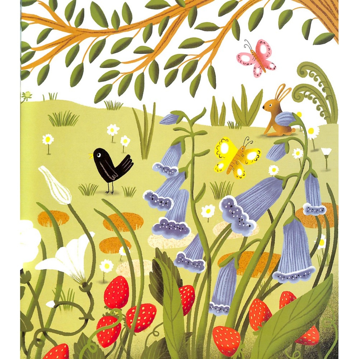 Nature Trail Board Book: احتفال شعري مبهج بعجائب الطبيعة من حولنا تأليف بنيامين زيفانيا - 11 أبريل 2023