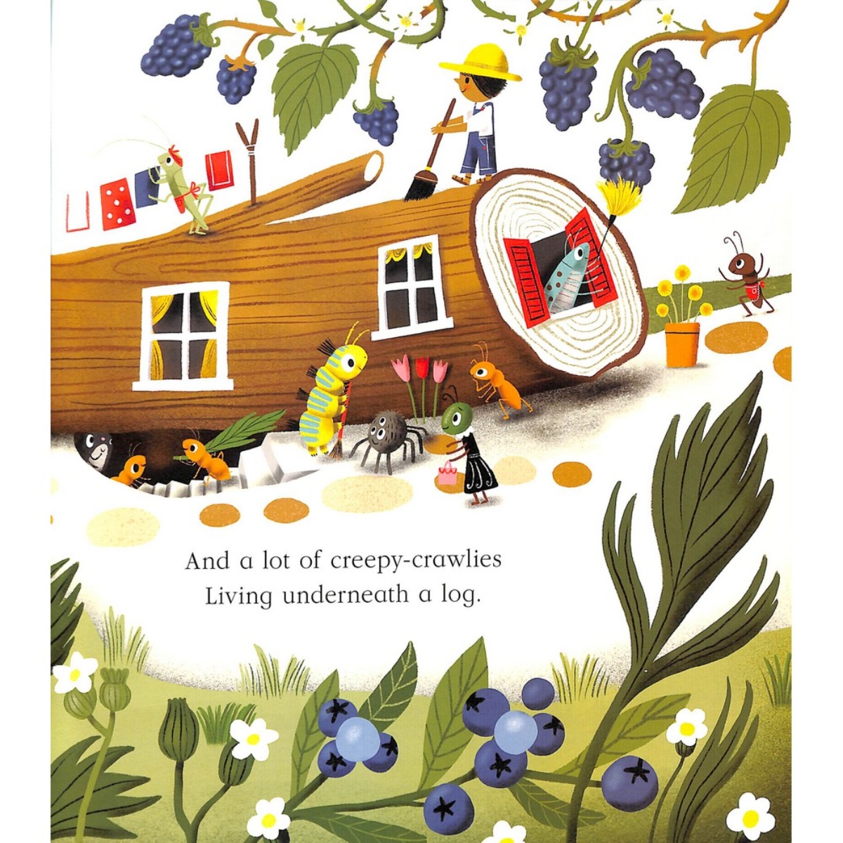 Nature Trail Board Book: احتفال شعري مبهج بعجائب الطبيعة من حولنا تأليف بنيامين زيفانيا - 11 أبريل 2023