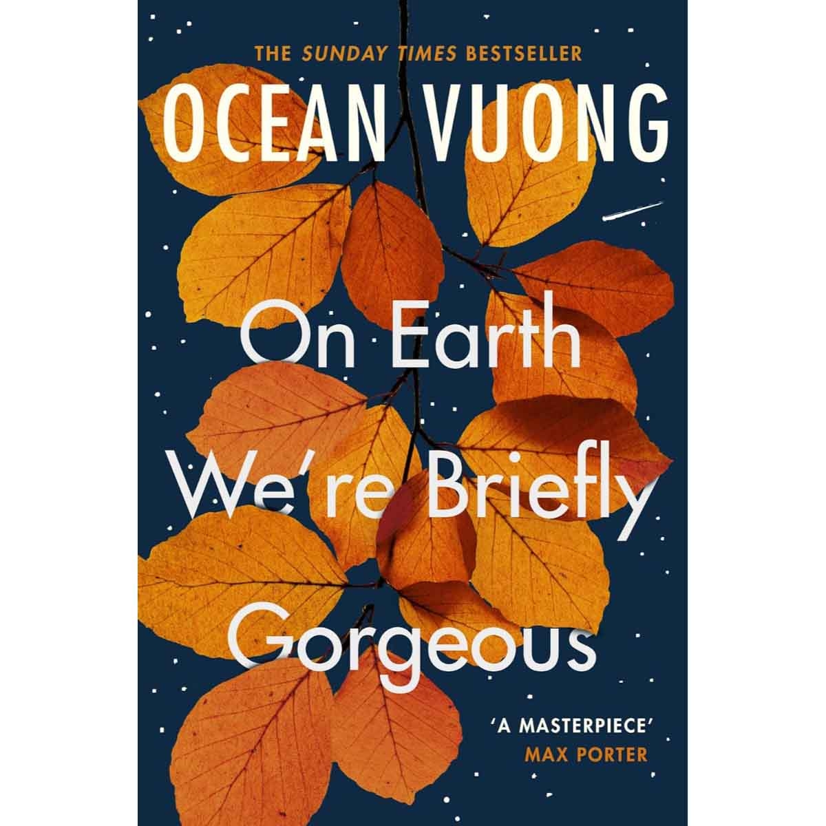 On Earth We're Briefly Gorgeous by Ocean Vuong - 2020