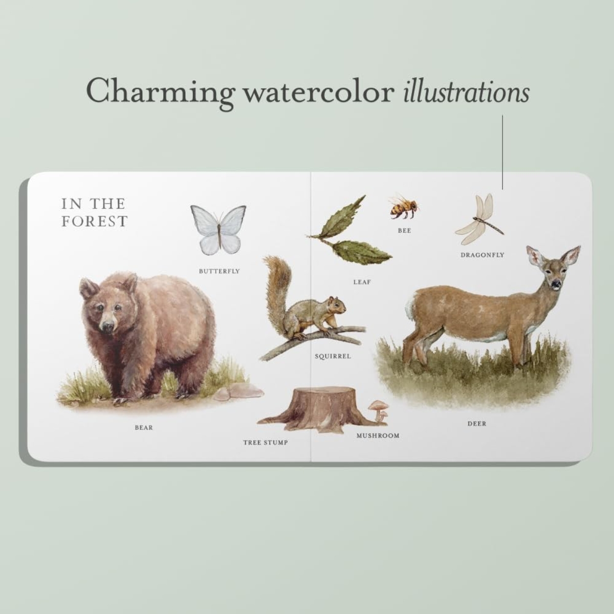 Our Big Book of First Words: مجموعة تضم أكثر من 100 كلمة تأسيسية لتطوير اللغة تأليف تابيثا بايج - 24 سبتمبر 2024