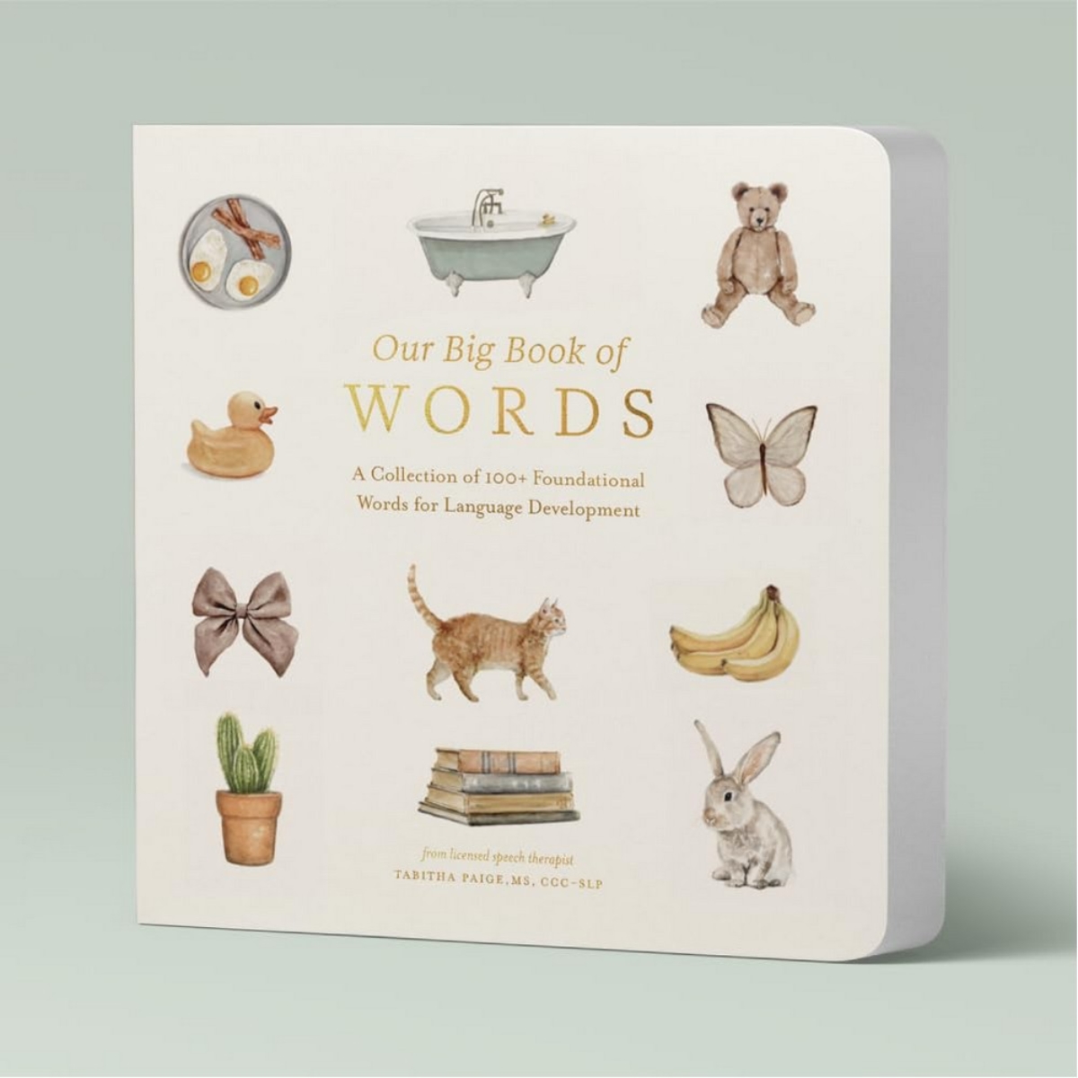 Our Big Book of First Words: مجموعة تضم أكثر من 100 كلمة تأسيسية لتطوير اللغة تأليف تابيثا بايج - 24 سبتمبر 2024