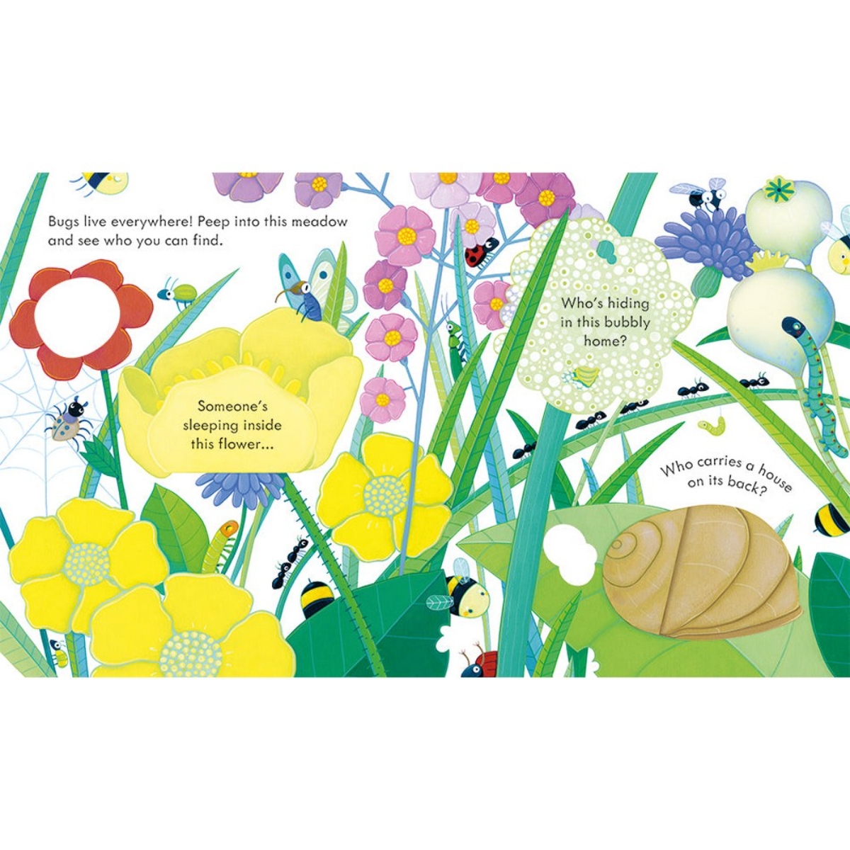 Peep Inside Bug Homes by Anna Milbourne - 6 Feb 2020