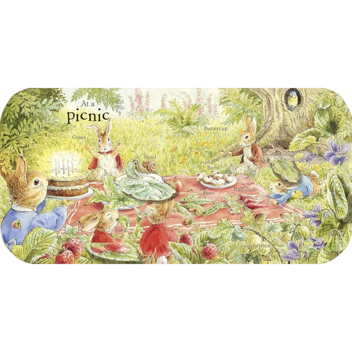 Peter Rabbit Peter's First 100 Words by Beatrix Potter - 4 May 2023