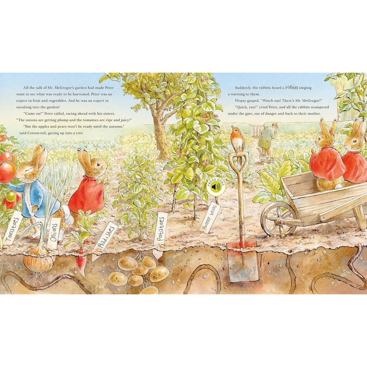 Peter Rabbit: جولة بيتر في الطبيعة: كتاب صوتي من تأليف بياتريكس بوتر - 9 فبراير 2023