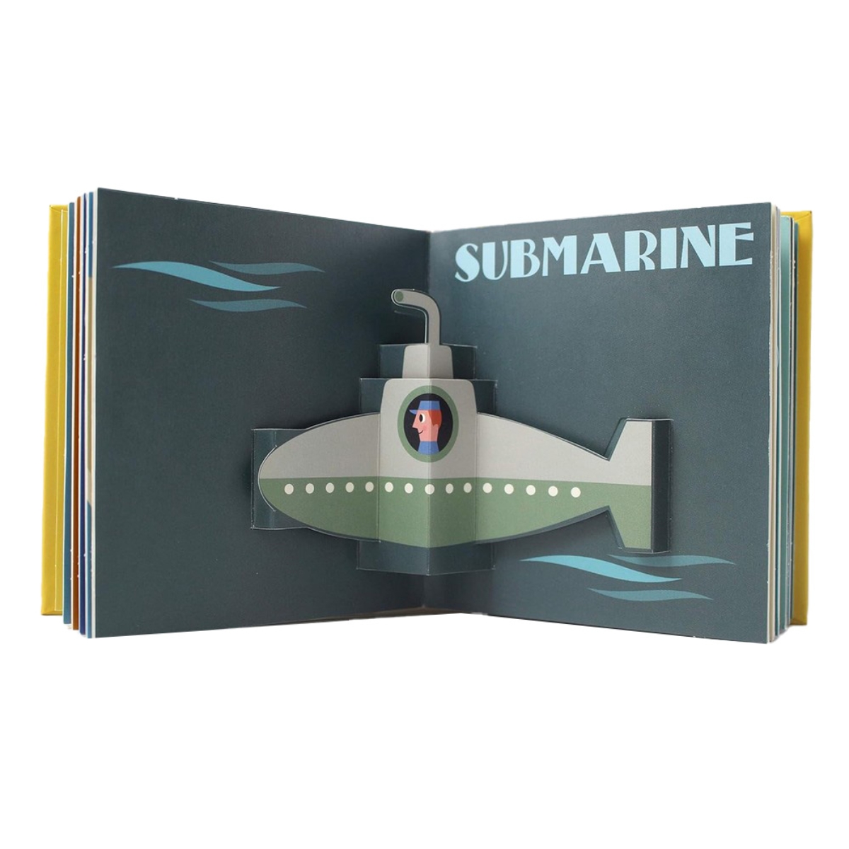 Pop-Up Ocean تأليف إنغيلا ب. أرينيوس - 1 مايو 2018