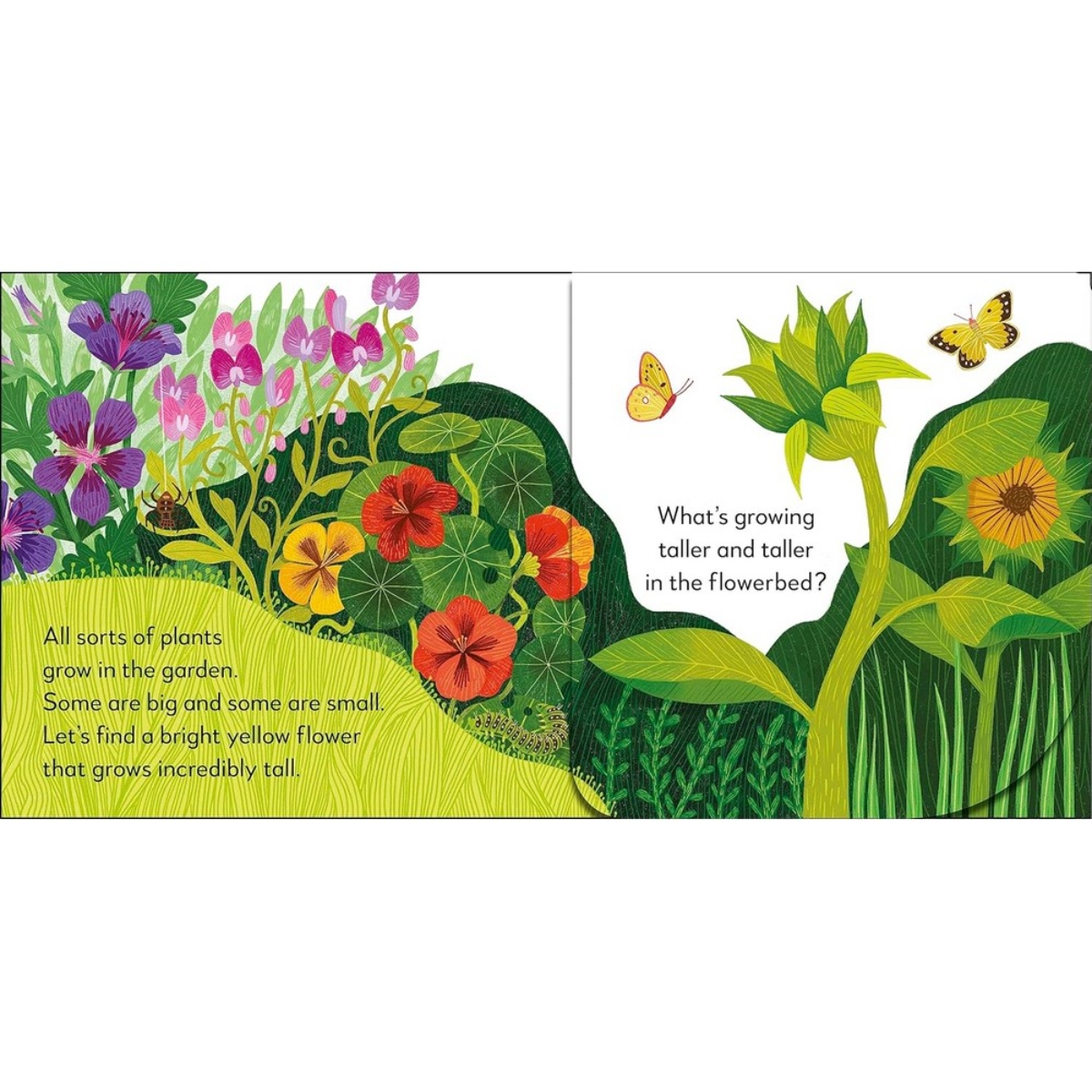 Pop-Up Peekaboo! Garden : Pop-Up Surprise Under Every Flap! by Dk - 1 Feb 2024