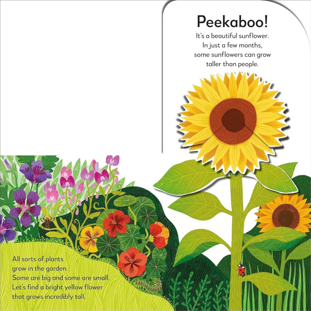 Pop-Up Peekaboo! Garden : Pop-Up Surprise Under Every Flap! by Dk - 1 Feb 2024