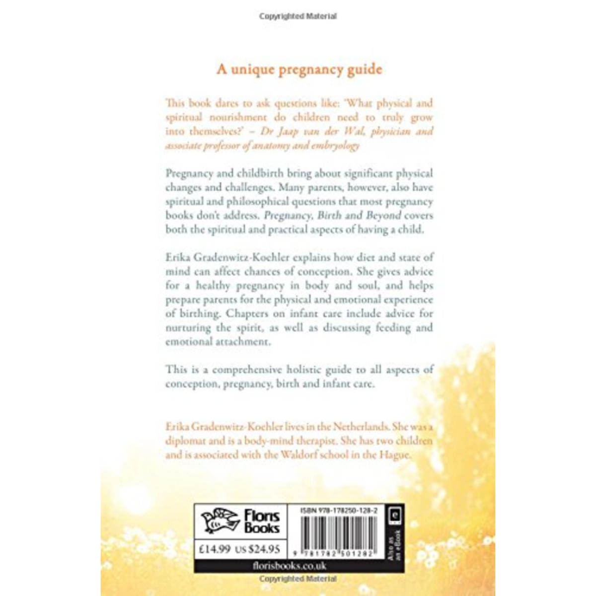 Pregnancy, Birth and Beyond: A Spiritual and Practical Guide by Erika Gradenwitz-Koehler - 41897