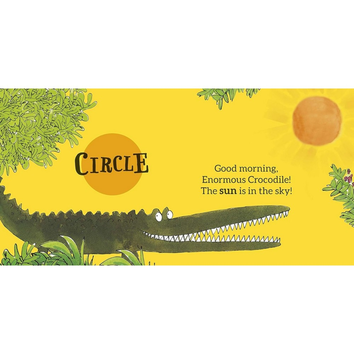 Roald Dahl: الأشكال تأليف رولد دال - 9 يوليو 2020