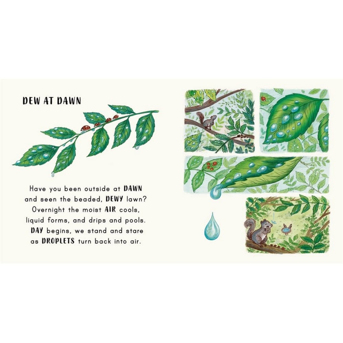 Slow Down… Discover Nature on Your Doorstep : اجلب الهدوء لعالم الطفل مع 6 لحظات تأملية في الطبيعة تأليف رايتشل ويليامز - 29 أبريل 2021