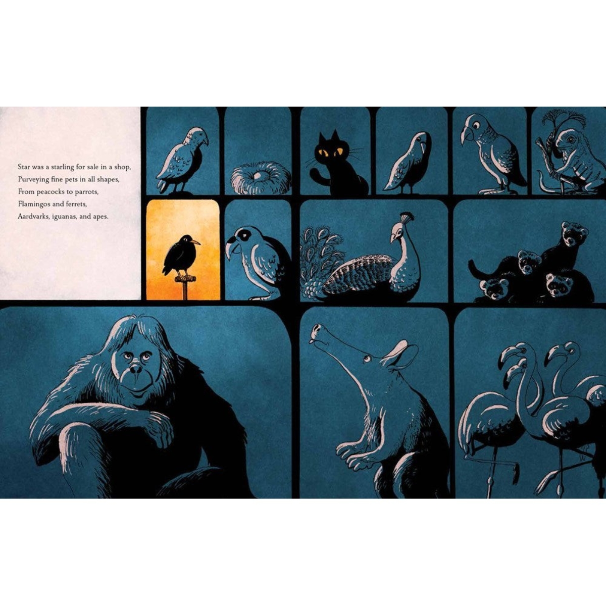 Star and the Maestro: كيف صنعت طائر موسيقي ألحاناً مع موزارت تأليف ثور هانسون - 24 سبتمبر 2024