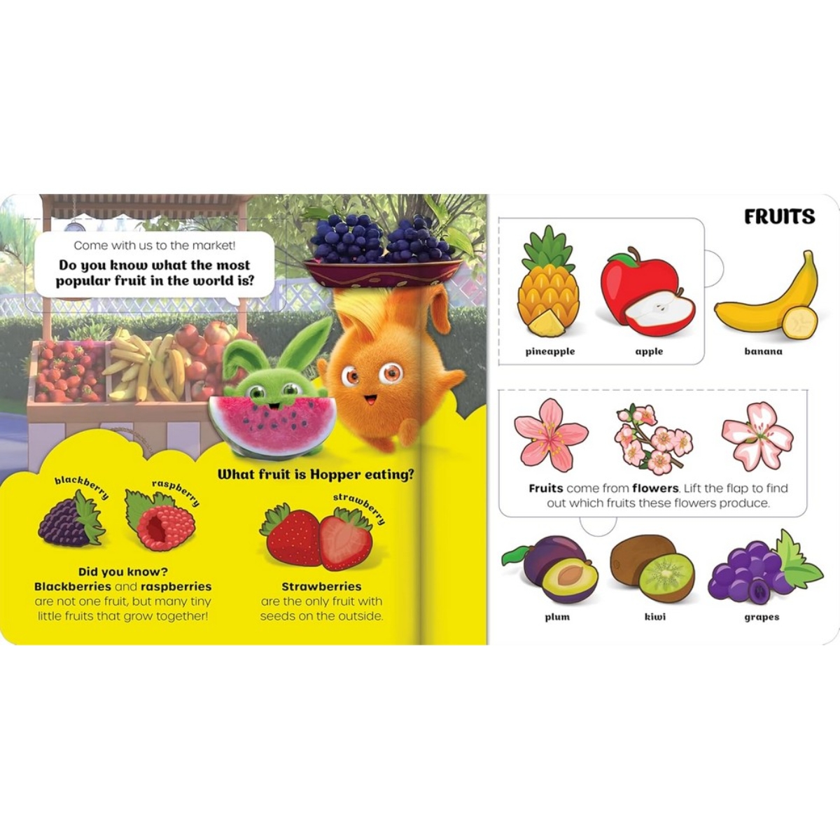 Sunny Bunnies: The Food We Love: كتاب رفع الغطاء تأليف كارين لافوريست - 4 يناير 2024