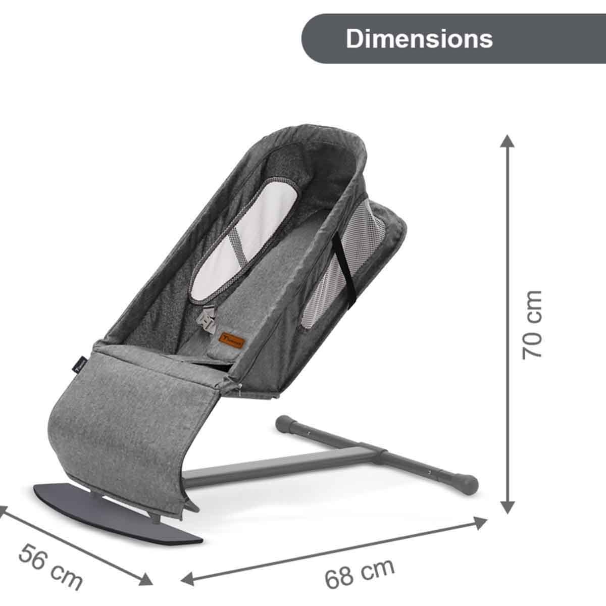 Teknum Dark Grey Baby Bouncer with Grab Toys
