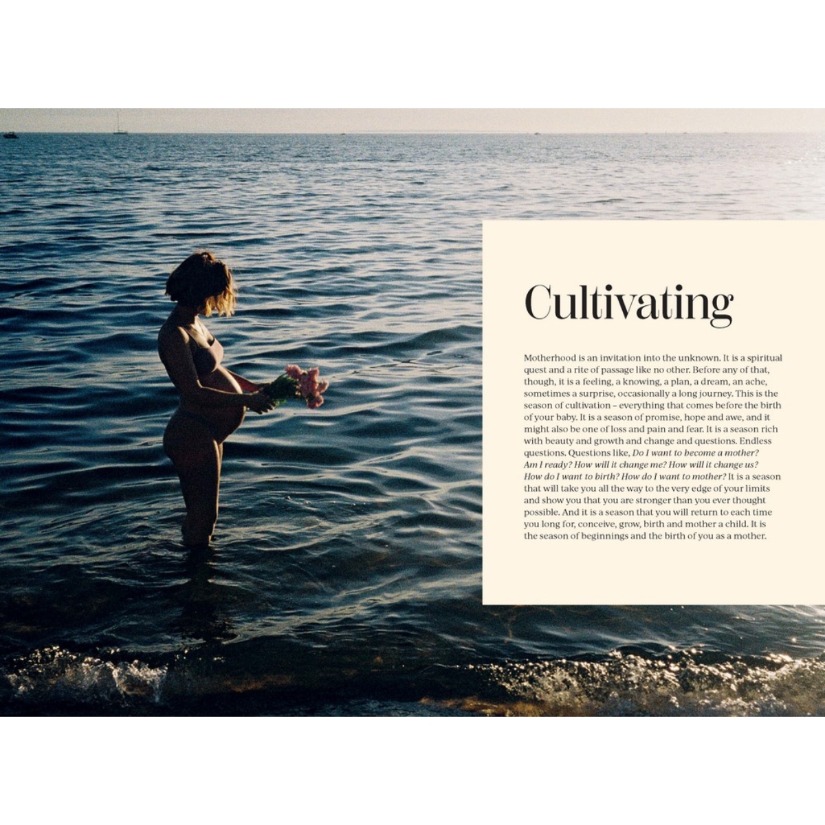 The Motherhood Space: رفيقك وسط الفوضى الجميلة لحياة الأم المعاصرة تأليف غابرييل نانكارو - 45244