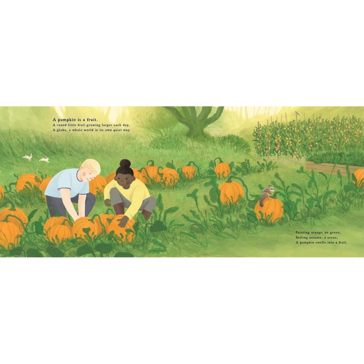 The Pumpkin Seed's Secret : قصيدة عن دورة الحياة تأليف هانا بارنابي - 2 يوليو 2024