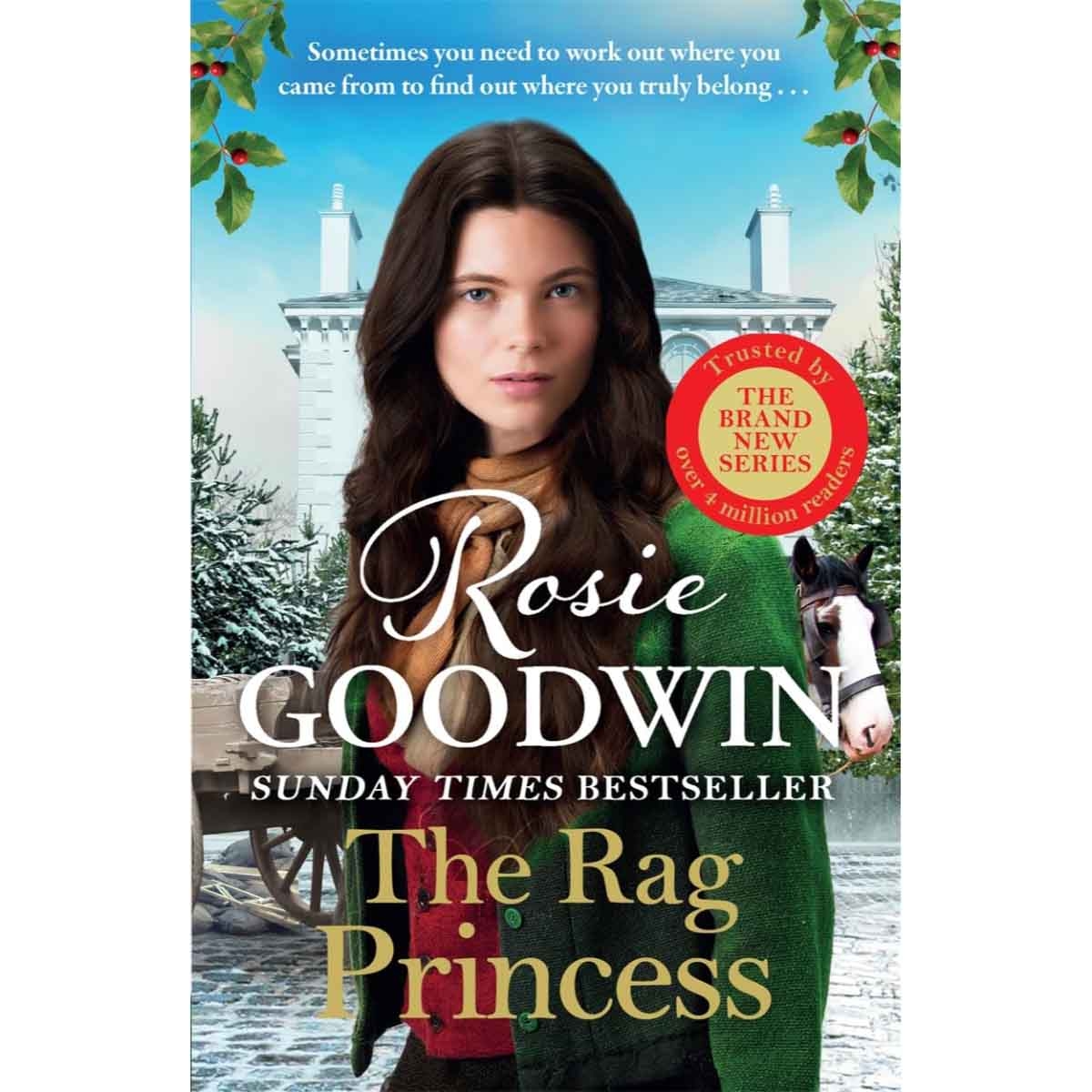 The Rag Princess by Rosie Goodwin - 2025-09
