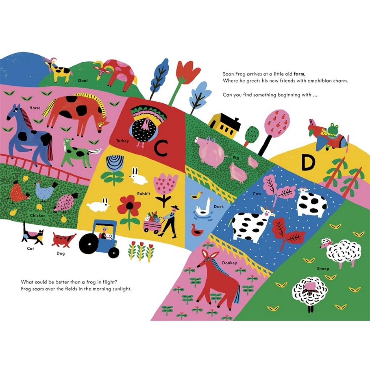 The Safari: قصة أبجدية من الألف إلى الياء من تأليف جوانا ماكينرني - 26 سبتمبر 2024