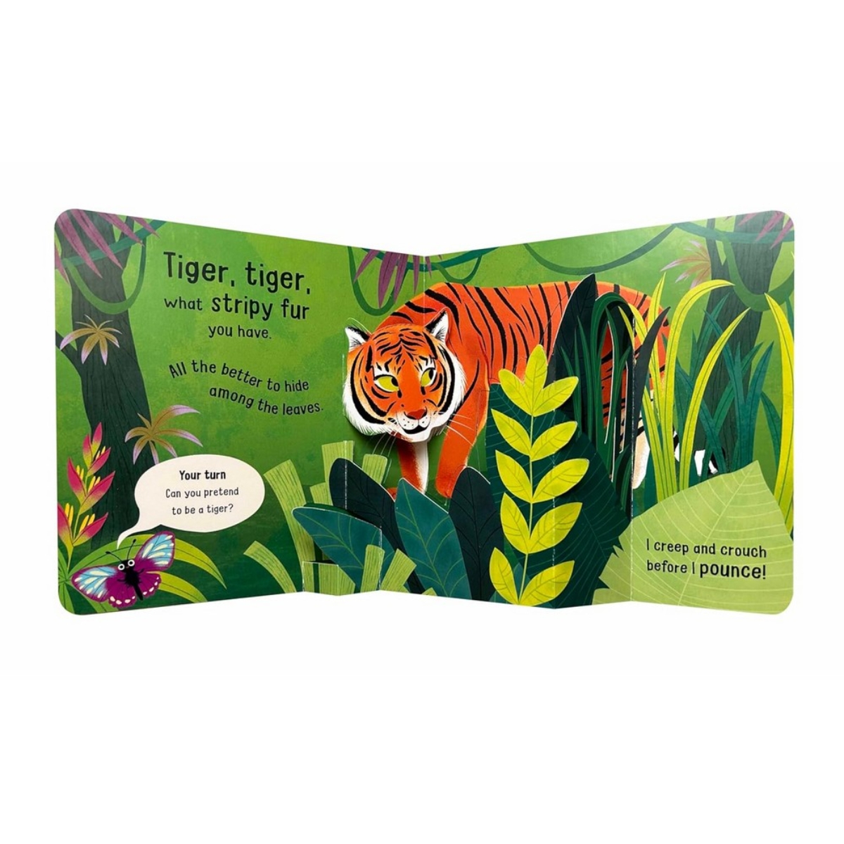 Tiger, Tiger, What Stripy Fur You Have! تأليف كامبل بوكس - 1 أغسطس 2024
