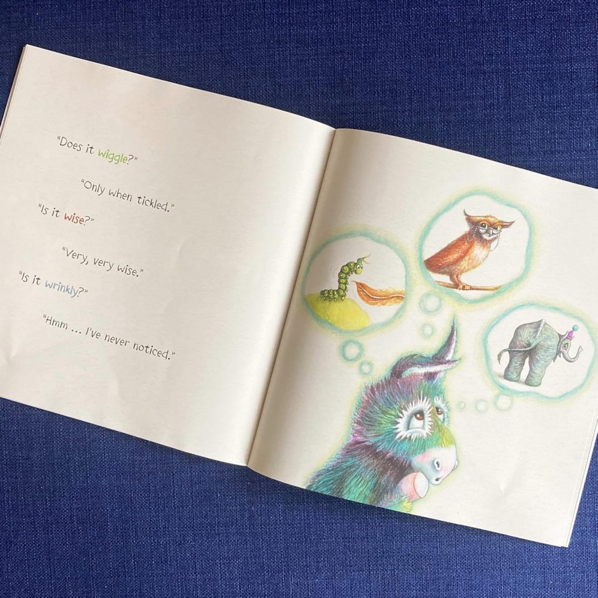 Wonky Donkey's Big Surprise (PB): تأليف كريغ سميث - 28 أكتوبر 2021