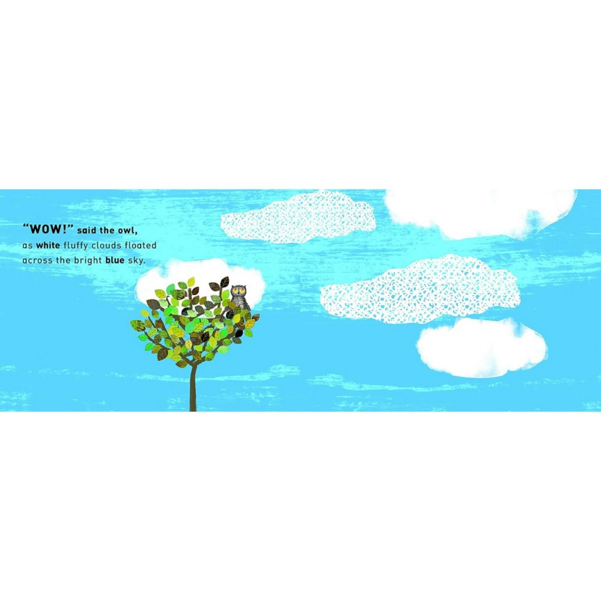 Wow! Said The Owl: أول كتاب ألوان تأليف تيم هوبغود - 1 سبتمبر 2022