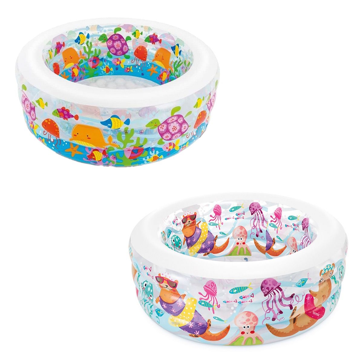 إنتكس مسبح أكواريوم متنوع للجنسين، 3-4 سنوات